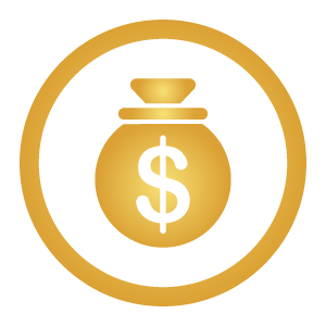 falcon coin